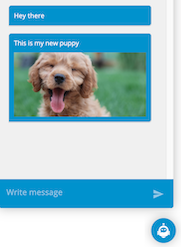 puppyChat.png